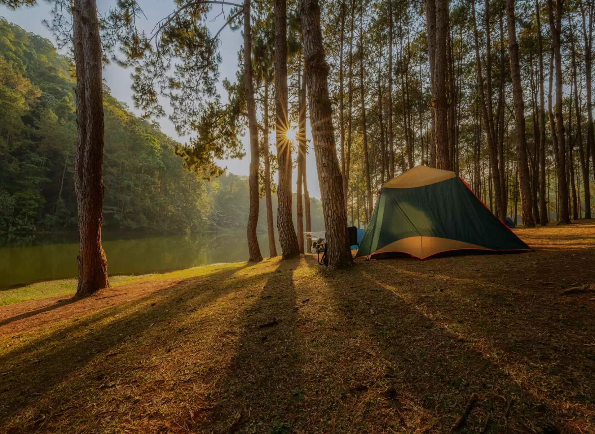 namiot w lesie